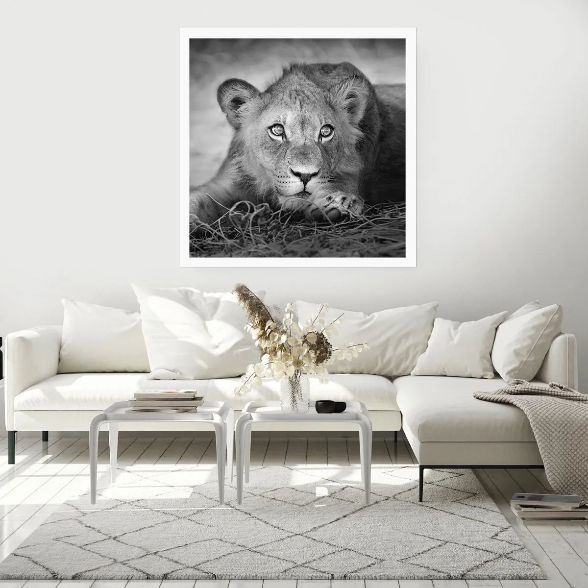 Affiche - Poster - Chiot royal - 60x60 cm