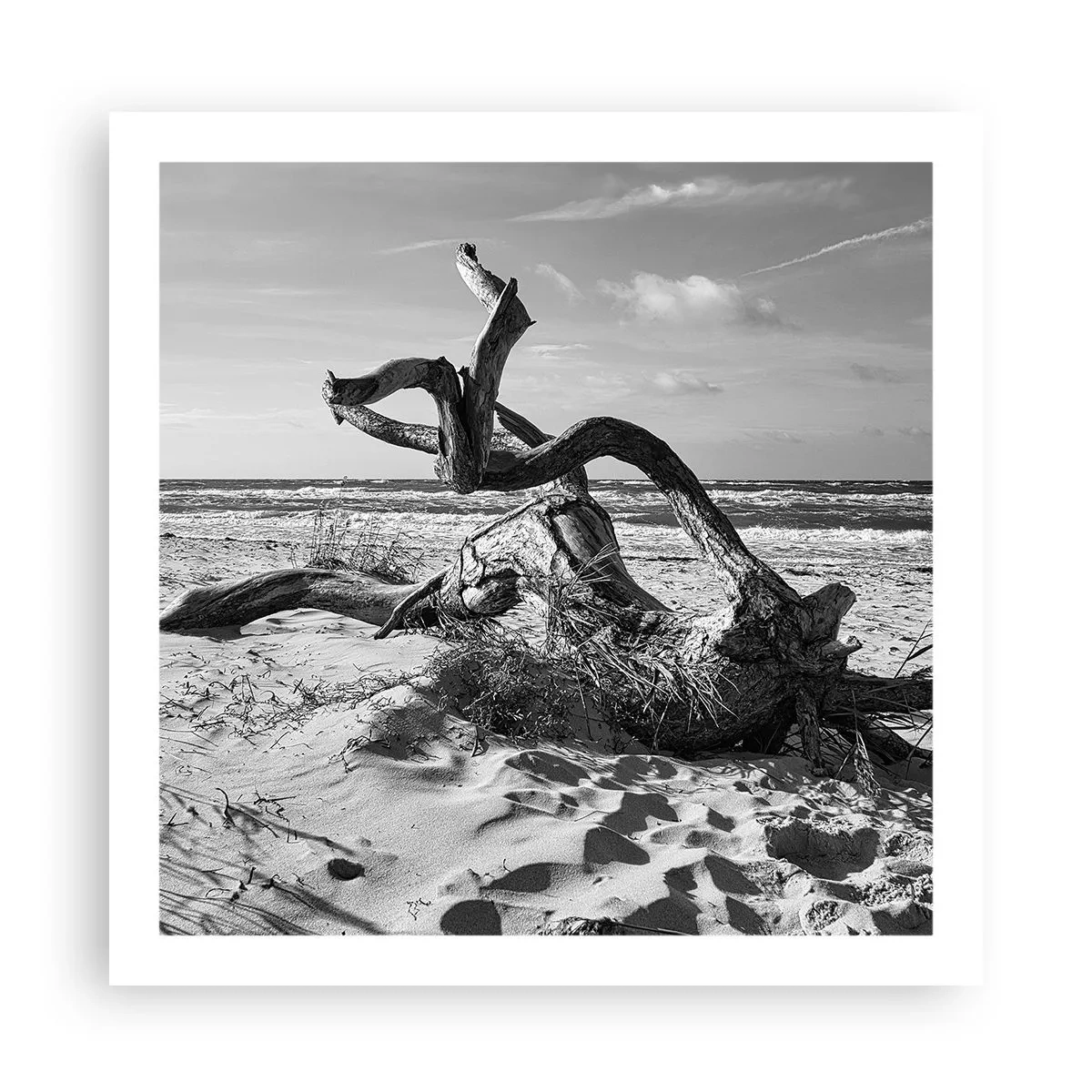 Affiche - Poster - Sculpture marine - 60x60 cm