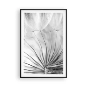 Affiche dans un cadre noir - Poster - Aigrette avant son envol - 61x91 cm