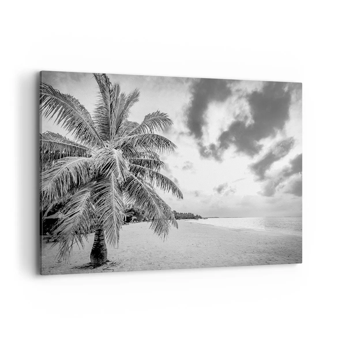 Impression sur toile - Image sur toile - Palmier noir et blanc sur une plage déserte avec des nuages - 100x70cm - Quand tu aspires à la solitude - Décoration murale moderne pour le salon et la chambre ARTTOR