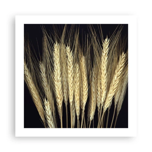 Affiche - Poster - Magie rustique - 50x50 cm