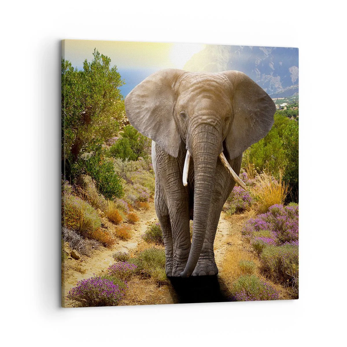 Impression sur toile - Image sur toile - Voilà à quoi ressemblait l'Eden - 50x50 cm