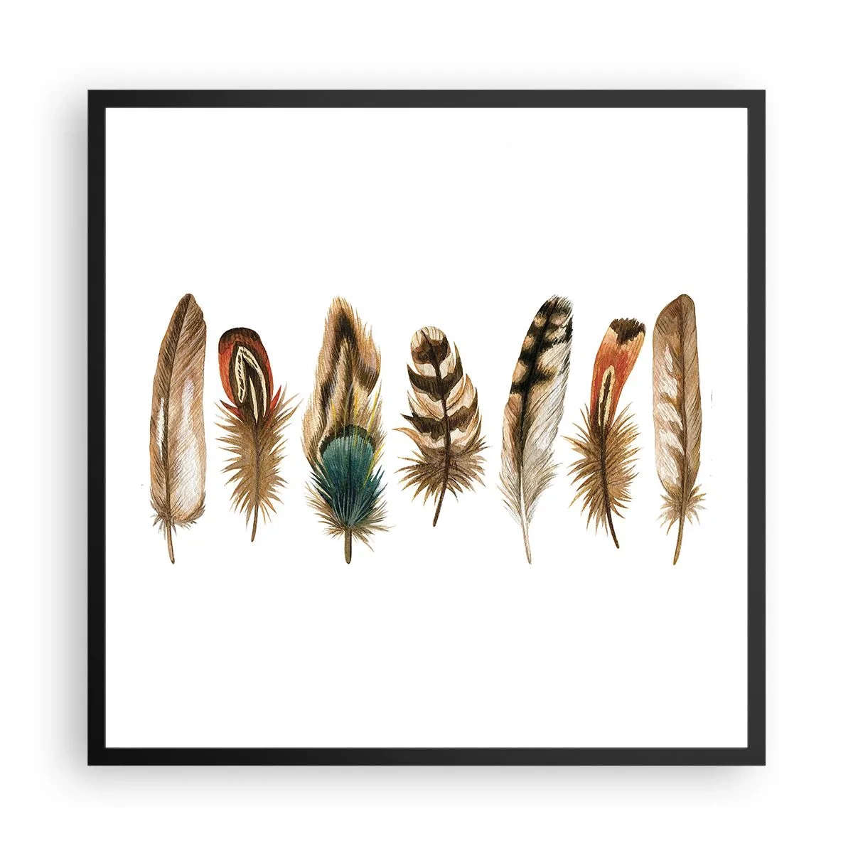 Affiche dans un cadre noir - Poster - Variation à plumes - 60x60 cm