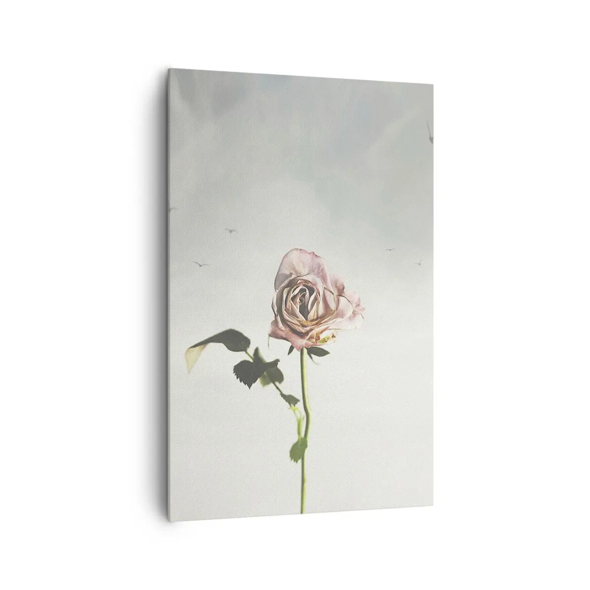 Impression sur toile - Image sur toile - Une rose délicate contre un ciel lumineux avec des oiseaux en vol - 80x120cm - Bonjour de printemps - Décoration murale moderne pour le salon et la chambre ARTTOR