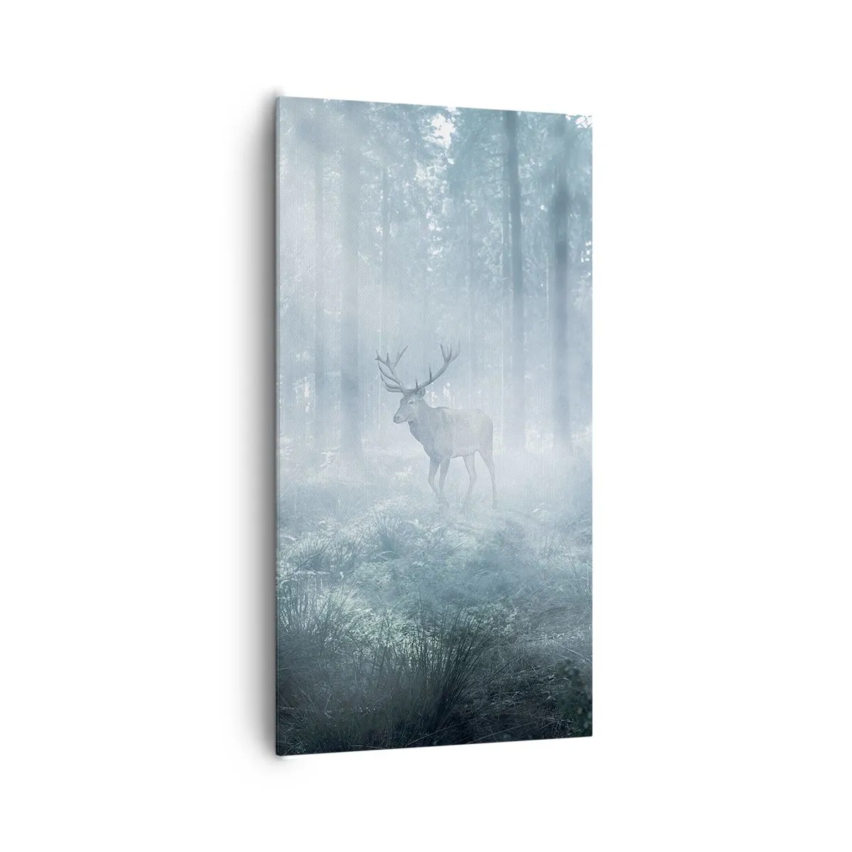 Impression sur toile - Image sur toile - Visite matinale du domaine - 65x120 cm