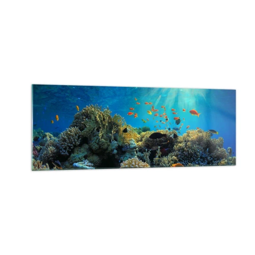 Impression sur verre - Image sur verre - Récif corallien avec des poissons sous les rayons du soleil sous l'eau - 140x50cm - Trésor sous-marin - Décoration murale moderne pour le salon et la chambre ARTTOR