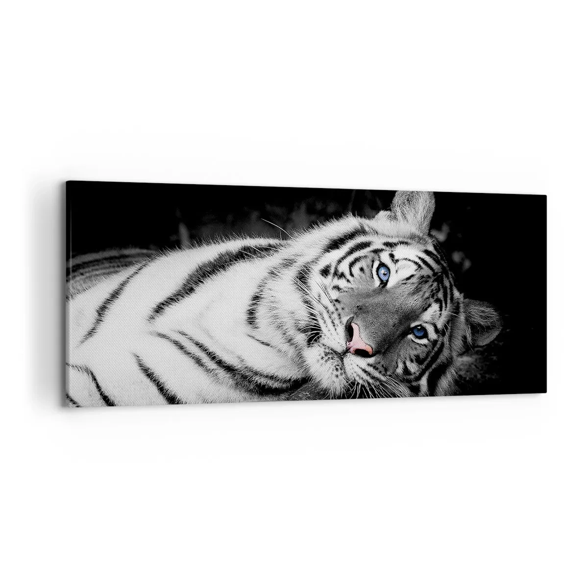 Impression sur toile - Image sur toile - Un tigre blanc rendu artistiquement sur un fond noir - 120x50cm - Sauvagerie et paix - Décoration murale moderne pour le salon et la chambre ARTTOR