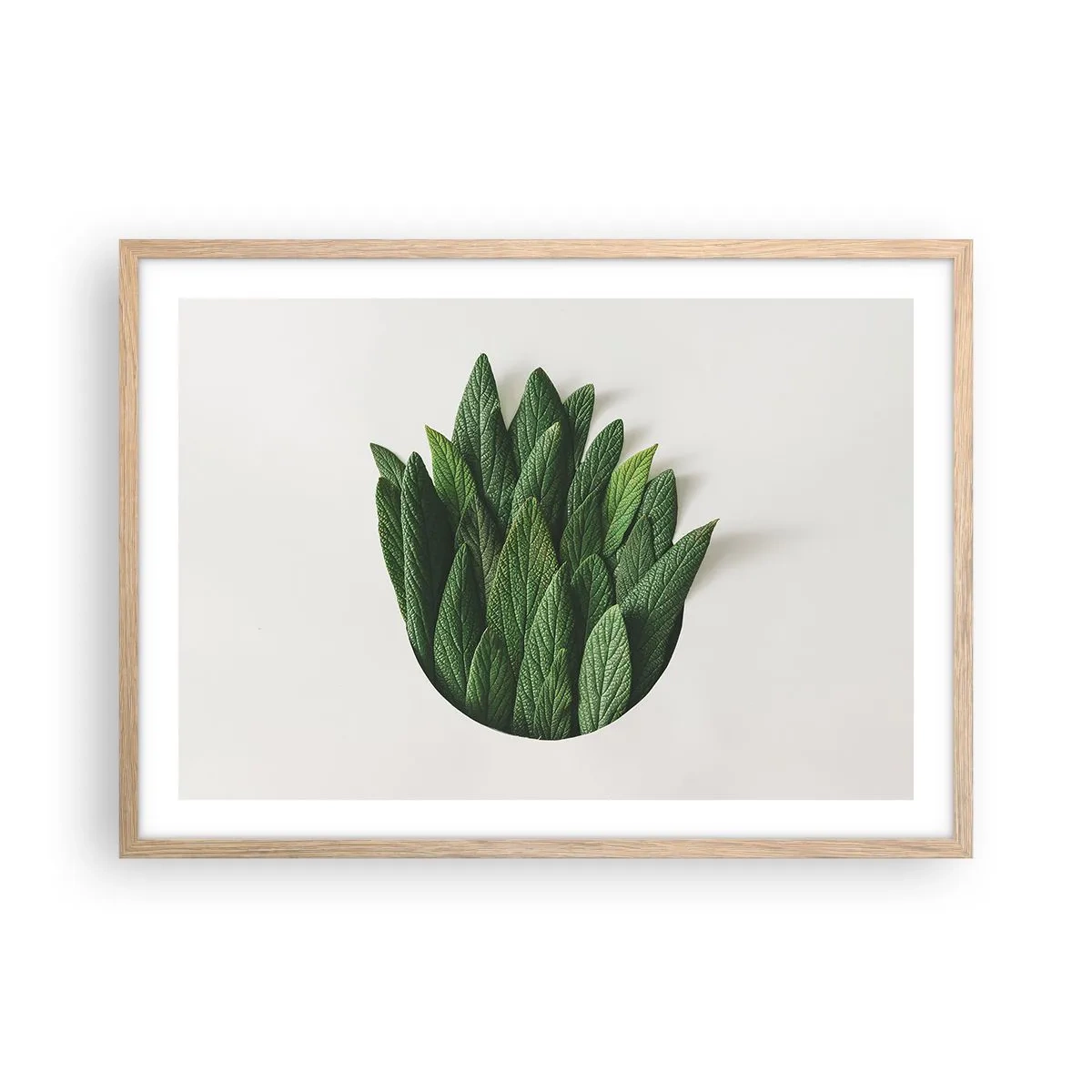 Affiche dans un chêne clair - Poster - Curiosité sans retenue - 70x50 cm