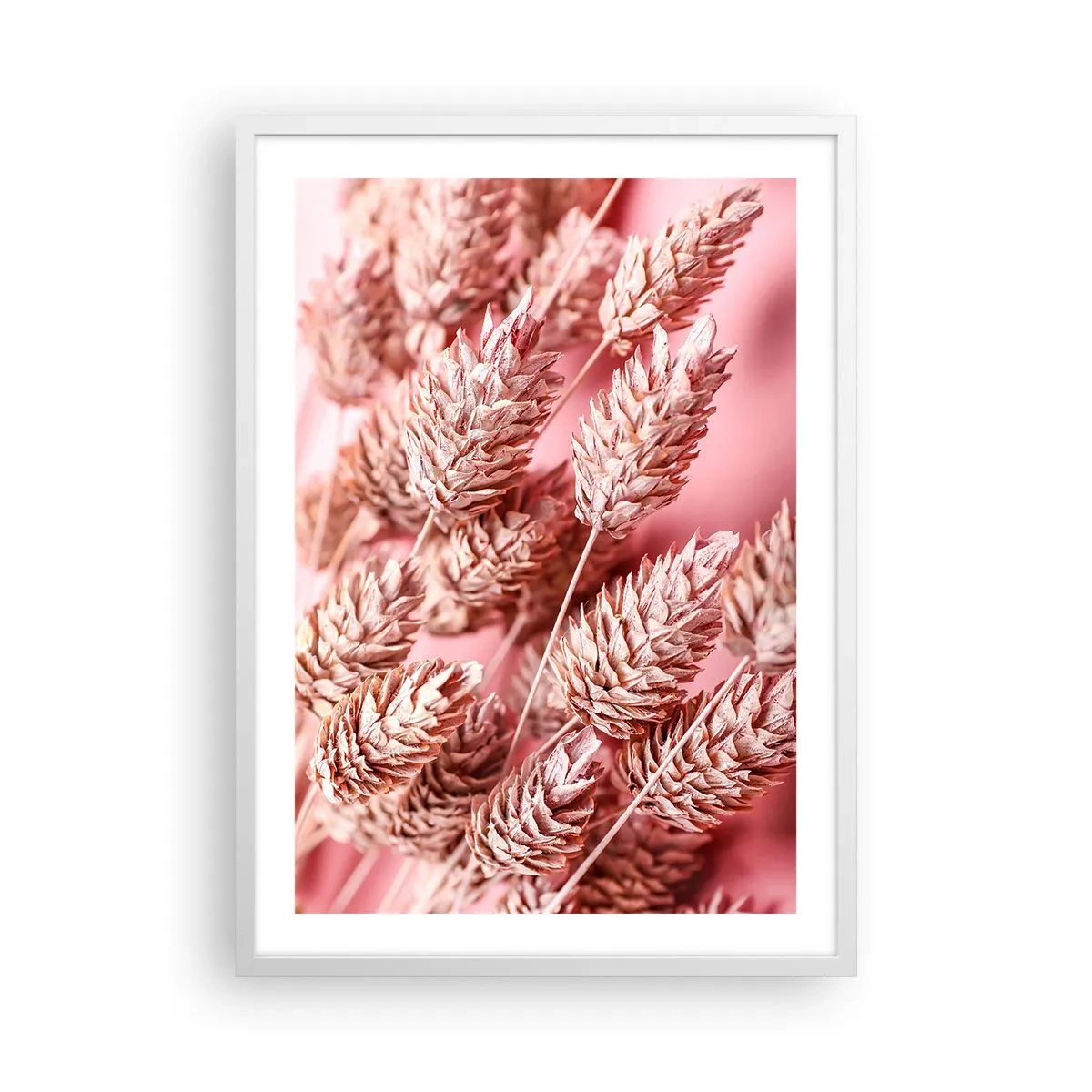 Affiche dans un cadre blanc - Poster - Une cascade florale en rose - 50x70 cm
