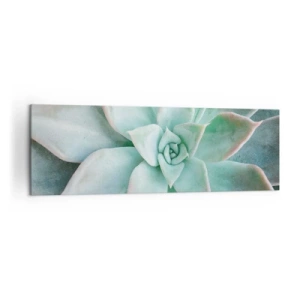 Impression sur toile - Image sur toile - Gros plan d'une succulente verte - 160x50cm - Le coeur du désert - Décoration murale moderne pour le salon et la chambre ARTTOR
