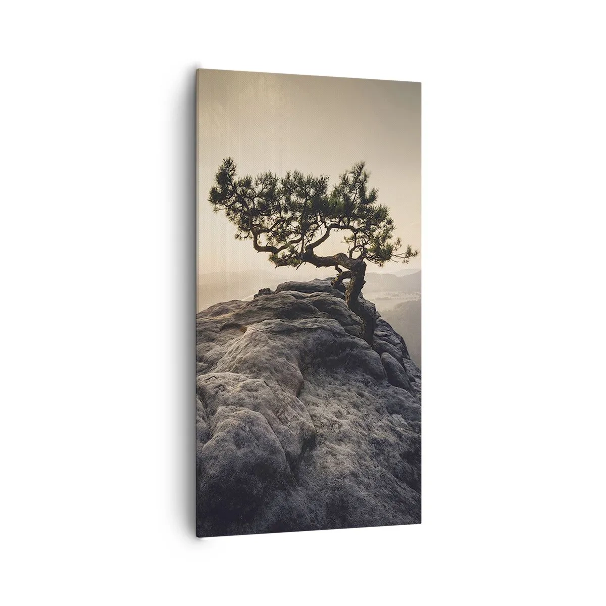 Impression sur toile - Image sur toile - La vie gagne toujours - 65x120 cm
