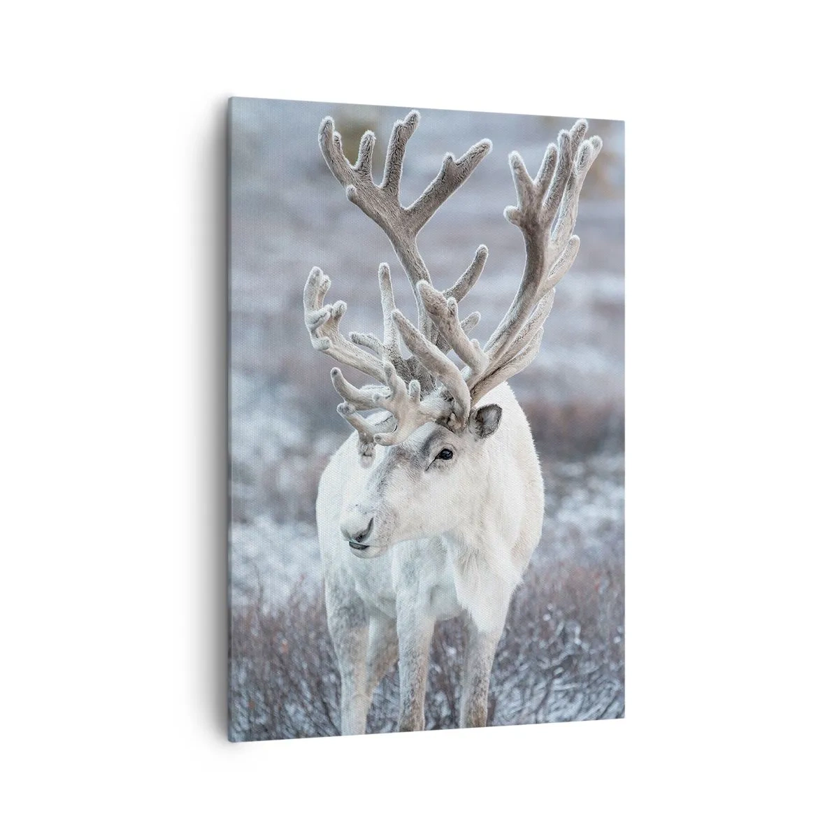 Impression sur toile - Image sur toile - Portrait au soleil - 70x100 cm