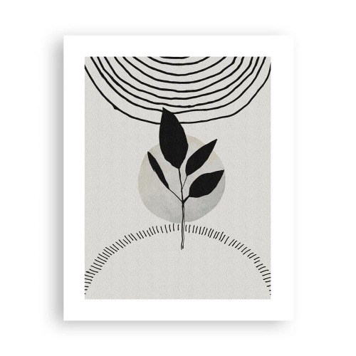 Affiche - Poster - Composition : rituels de la nature - 40x50 cm