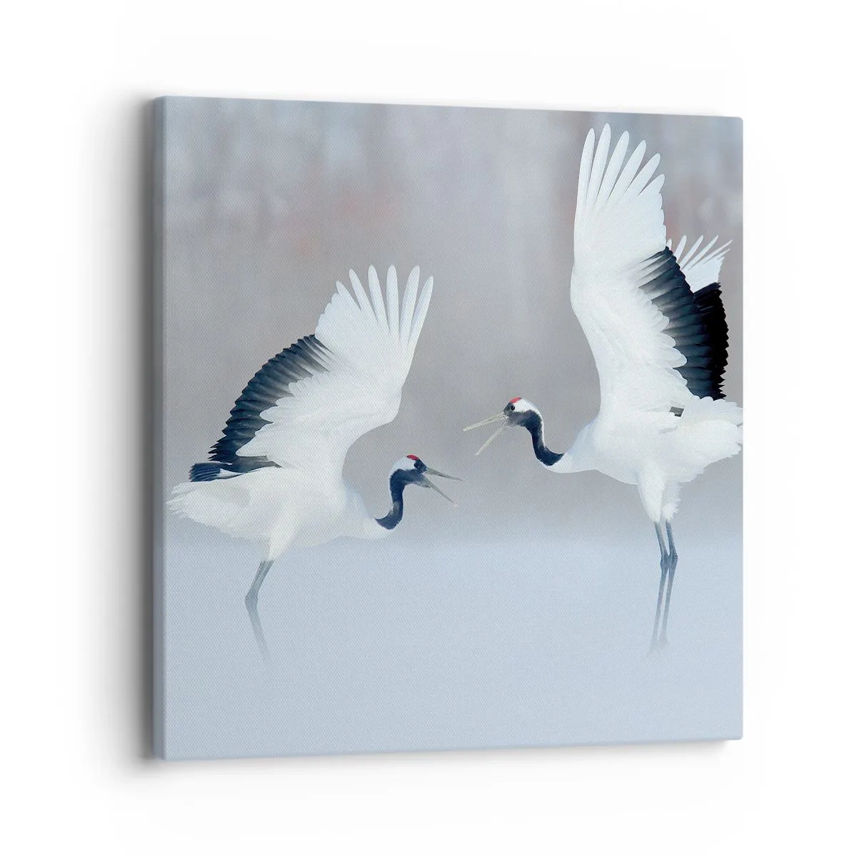 Impression sur toile - Image sur toile - Danse dans le brouillard - 40x40 cm