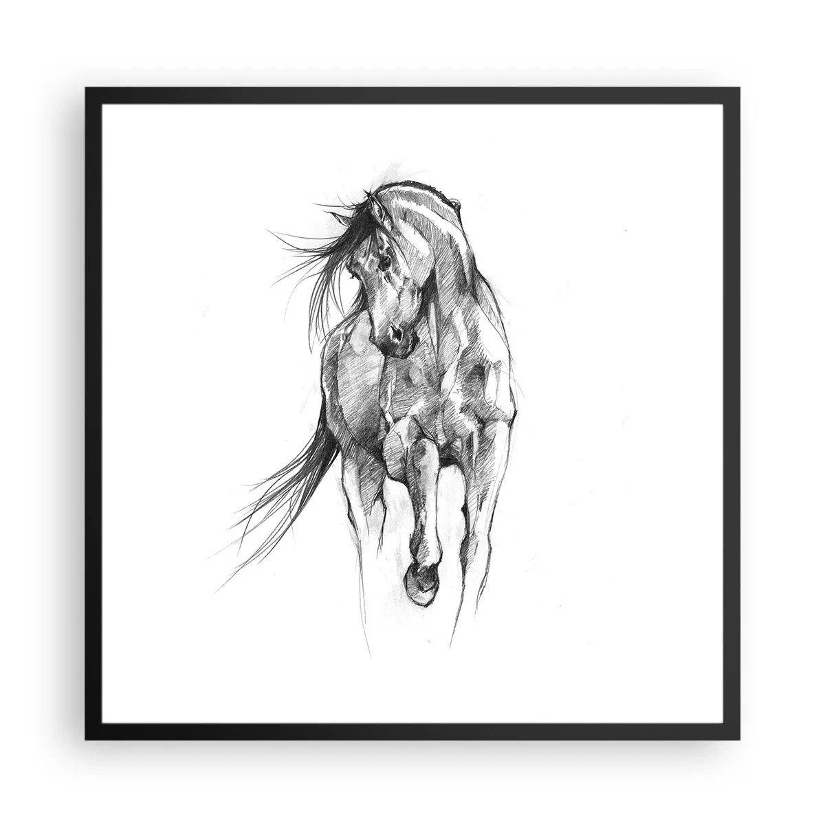 Affiche dans un cadre noir - Poster - D'un trot gracieux - 60x60 cm