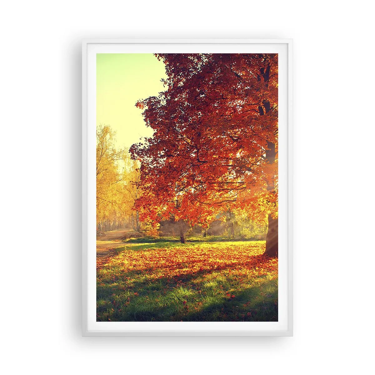 Affiche dans un cadre blanc - Poster - Le roux est beau - 70x100 cm