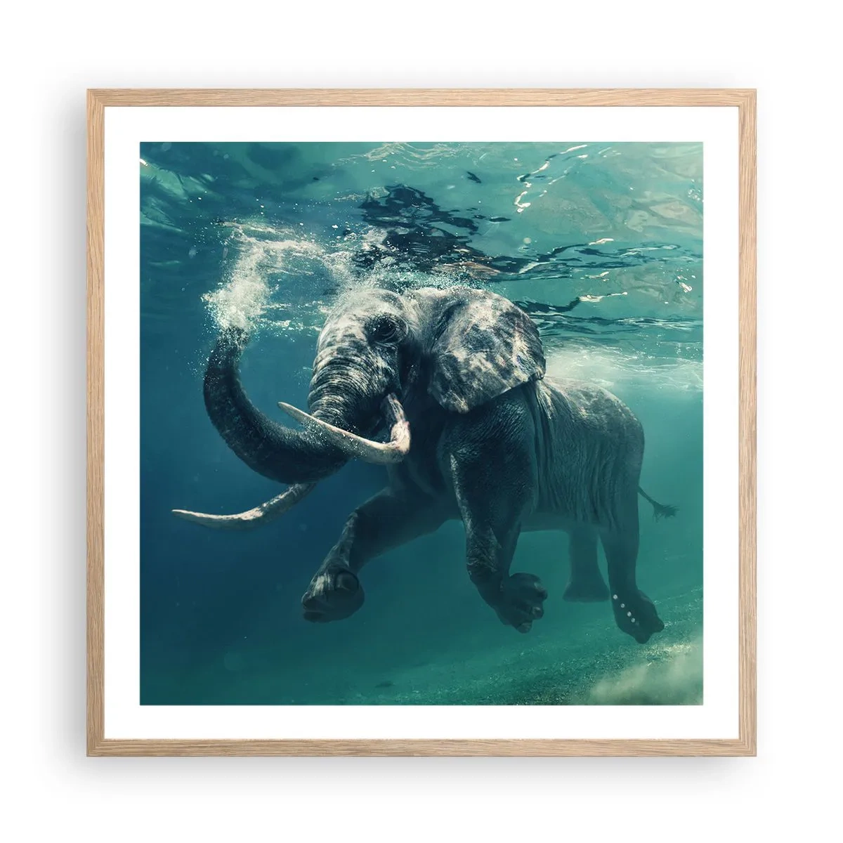 Affiche dans un chêne clair - Poster - Tout le monde aime nager - 60x60 cm