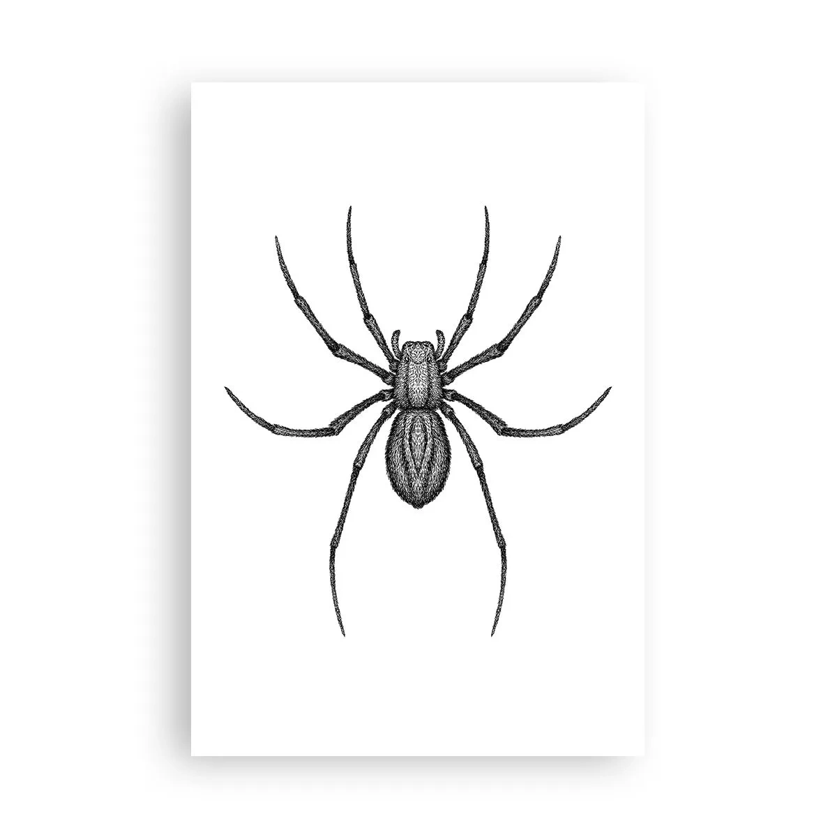 Affiche - Poster - Une précision troublante - 61x91 cm