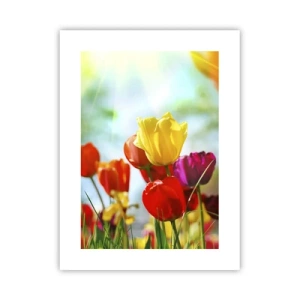 Affiche - Poster - Toutes les couleurs du soleil - 30x40 cm