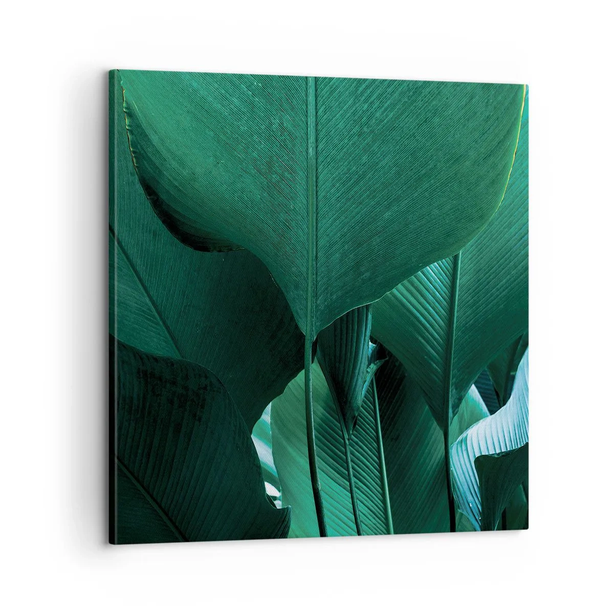 Impression sur toile - Image sur toile - Tourné vers la lumière - 60x60 cm