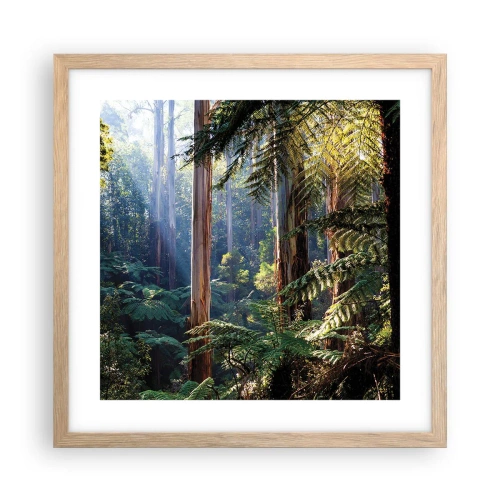 Affiche dans un chêne clair - Poster - Fable de la forêt - 40x40 cm