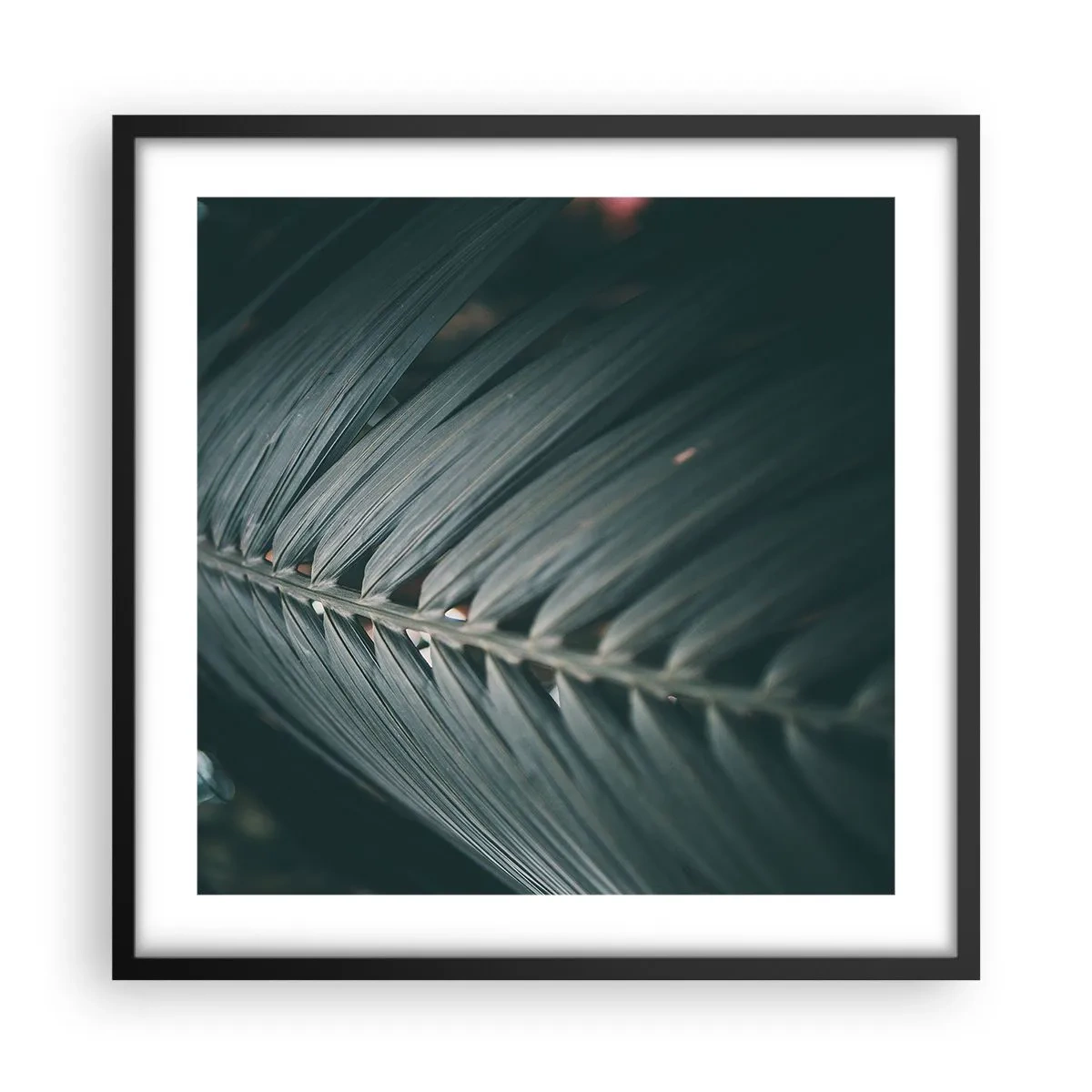 Affiche dans un cadre noir - Poster - Précision de la nature - 50x50 cm