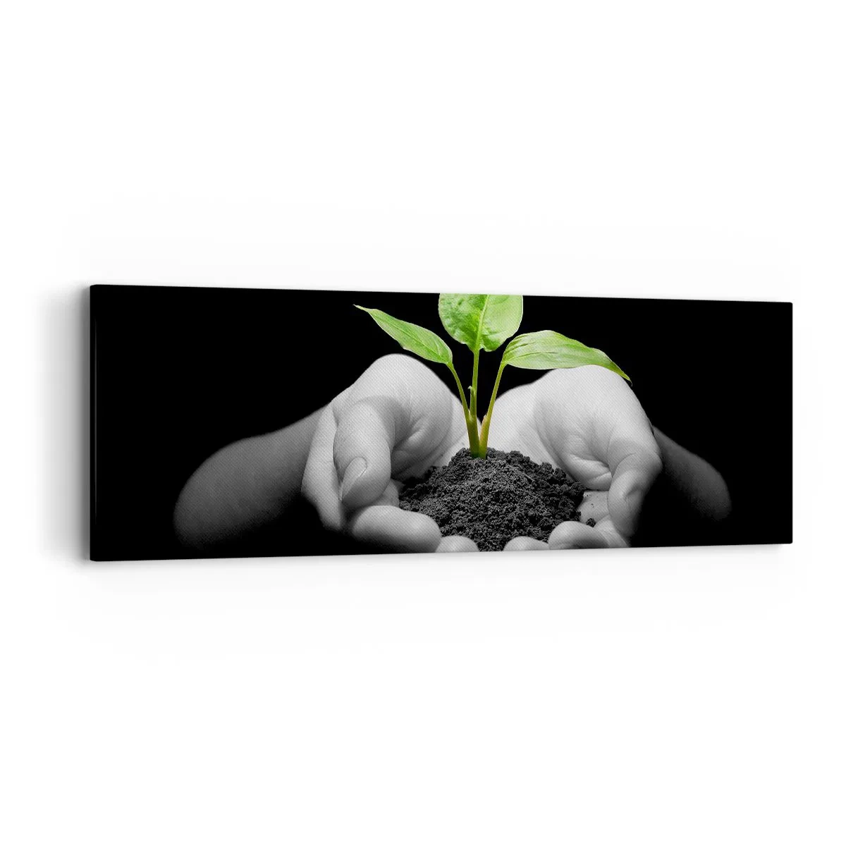 Impression sur toile - Image sur toile - J'aime la nature, je la protège - 90x30 cm