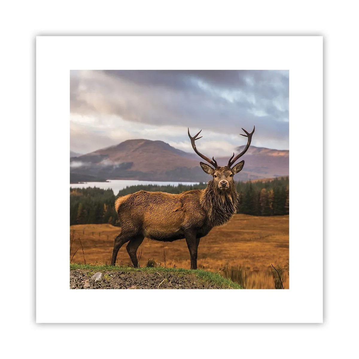 Affiche - Poster - Majesté de la nature - 30x30 cm