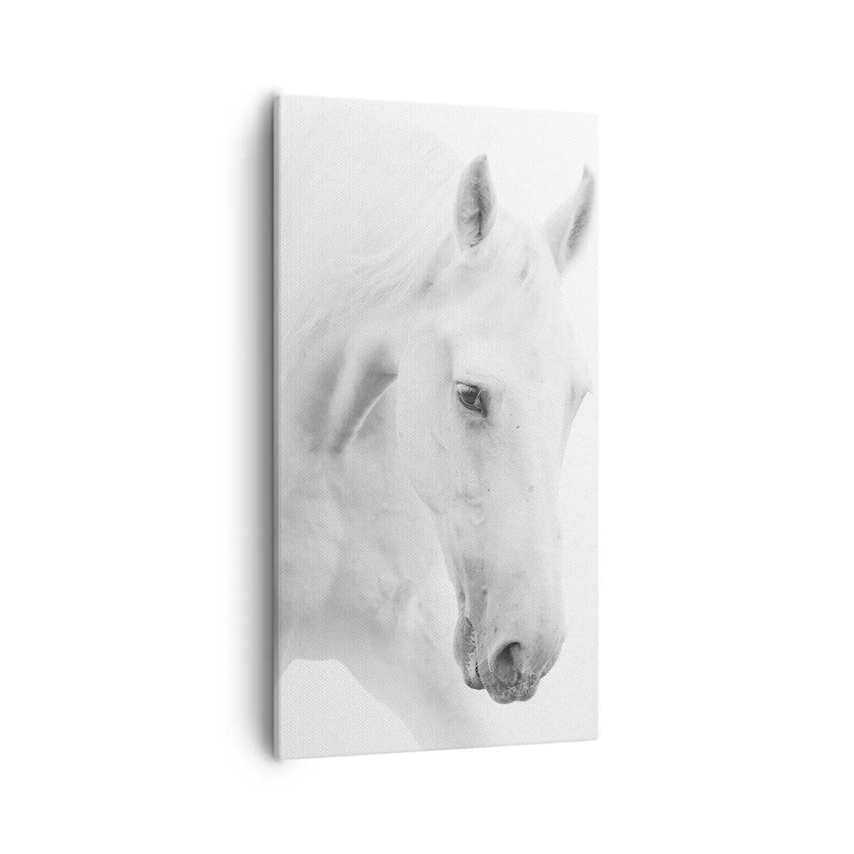 Impression sur toile - Image sur toile - Serait-ce de l’amitié? - 55x100 cm