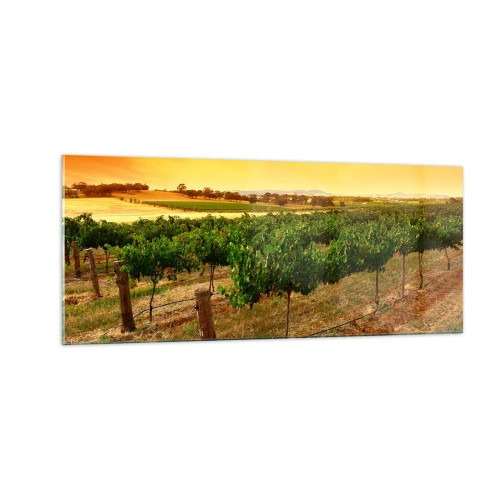 Impression sur verre - Image sur verre - S'abreuver du soleil - 100x40 cm