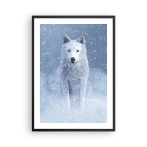 Affiche dans un cadre noir - Poster - Un loup blanc dans un paysage hivernal, entouré de neige. - 50x70cm - Dans une âme d'hiver - Décoration murale moderne pour le salon et la chambre ARTTOR