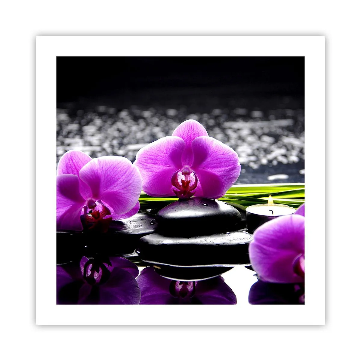 Affiche - Poster - Se noyer dans la paix et la tranquillité - 50x50 cm