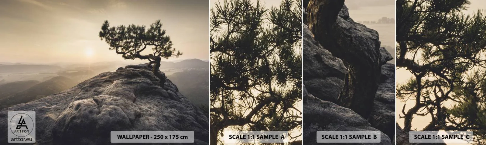 Échantillon de Papier Peint Autocollant Deluxe Sticker - La vie gagne toujours - Paysage de montagne, Pin, Montagnes - 100x30 cm