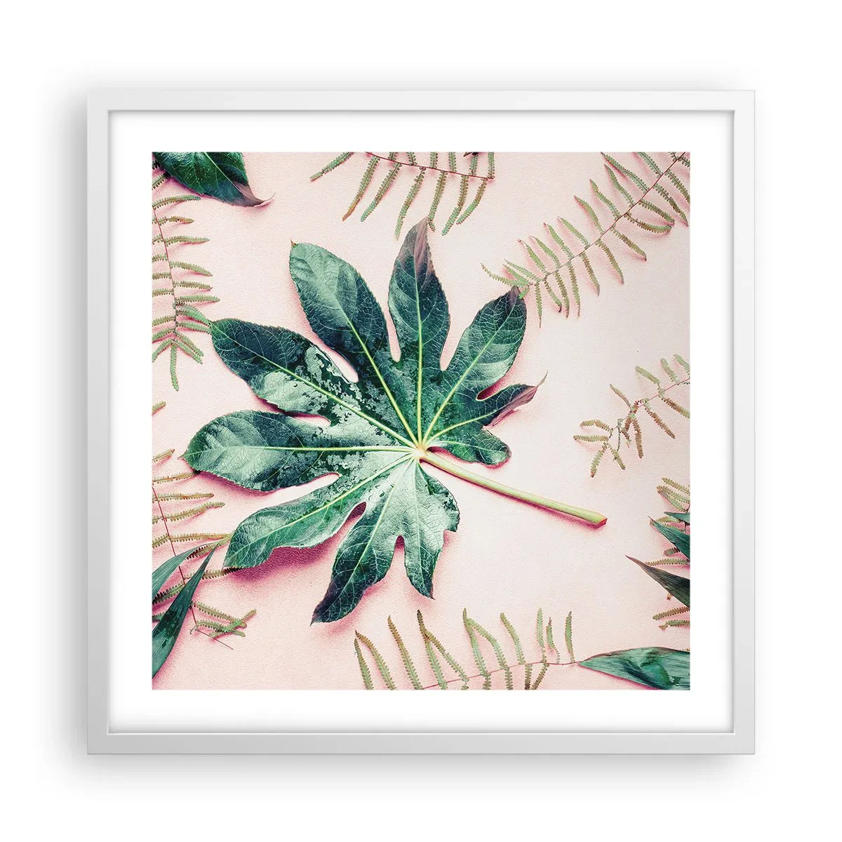 Affiche dans un cadre blanc - Poster - Étude de verdure sur fond rose - 50x50 cm