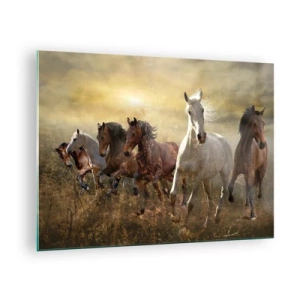 Impression sur verre - Image sur verre - Un troupeau de chevaux galopant dans les rayons du soleil couchant - 70x50cm - Vive la liberté! - Décoration murale moderne pour le salon et la chambre ARTTOR