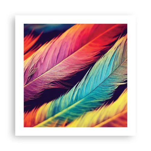 Affiche - Poster - Arc-en-ciel de plumes - 50x50 cm
