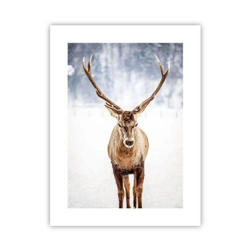 Affiche - Poster - Directement du brouillard enneigé - 30x40 cm