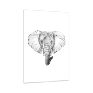 Impression sur verre - Image sur verre - Dessin en noir et blanc d'une tête d'éléphant sur fond blanc - 80x120cm - "Un éléphant ça trompe bien souvent" - Décoration murale moderne pour le salon et la chambre ARTTOR