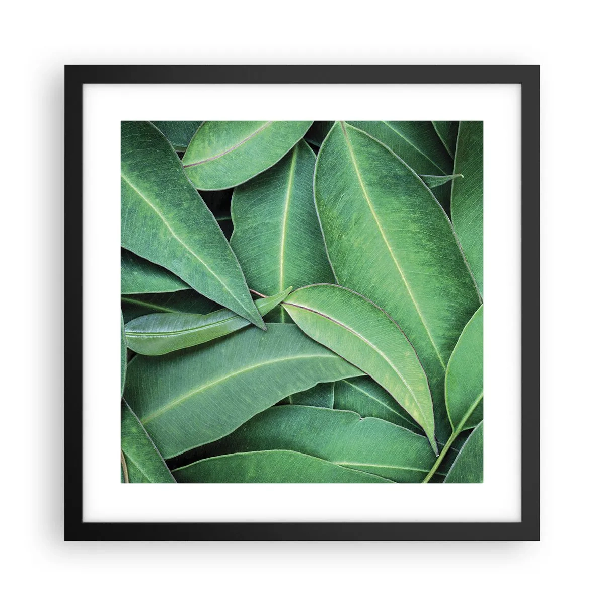 Affiche dans un cadre noir - Poster - Juteux et frais - 40x40 cm