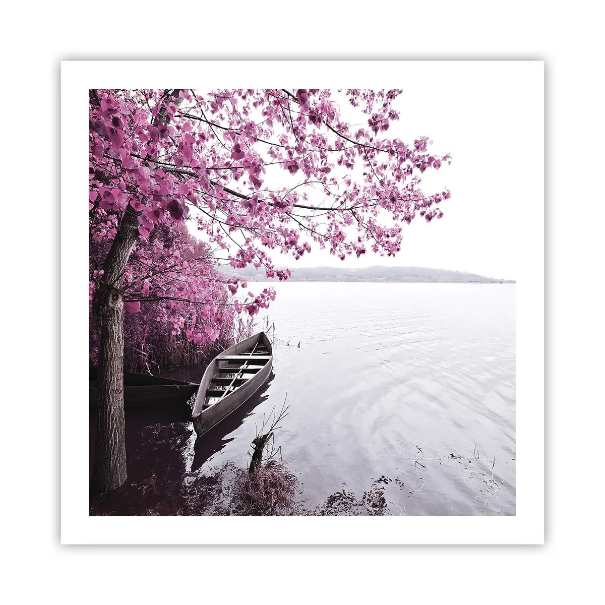 Affiche - Poster - Dans un silence rose - 60x60 cm