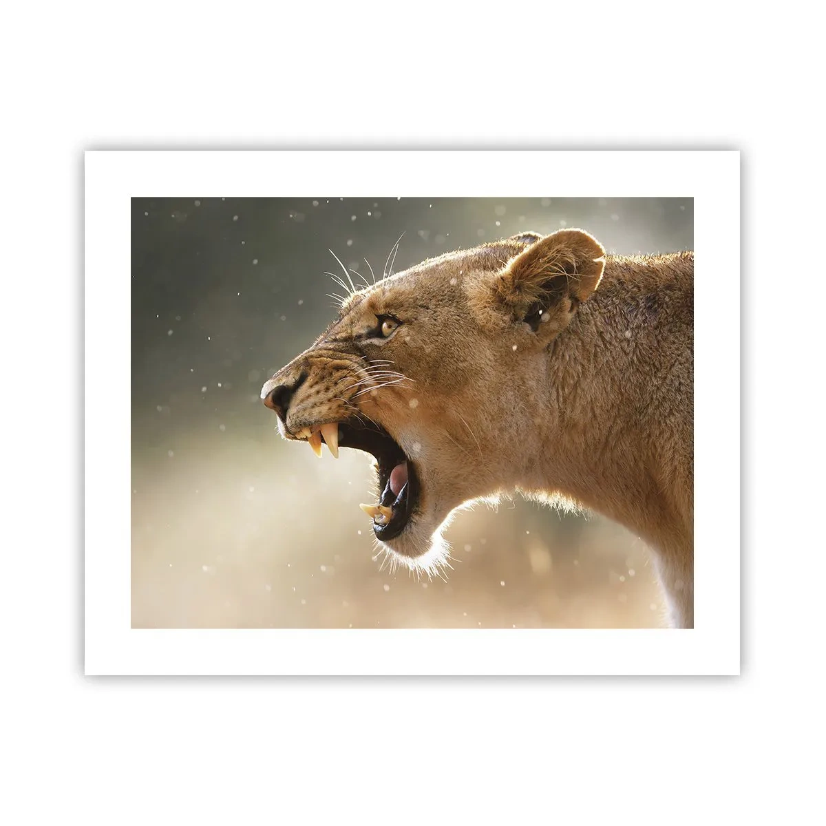 Affiche - Poster - Essayez  de ne pas écouter - 50x40 cm