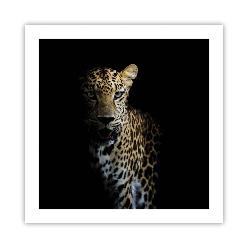 Affiche - Poster - Beauté sombre - 50x50 cm