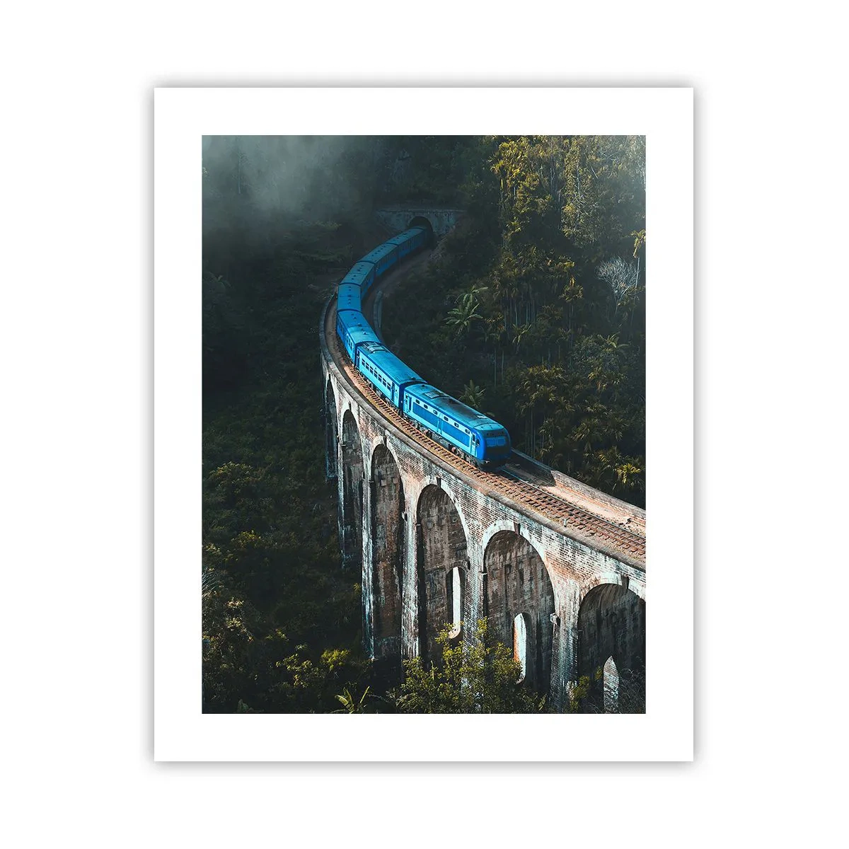Affiche - Poster - Train nature - 40x50 cm