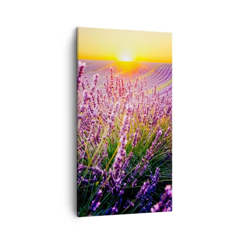 Impression sur toile - Image sur toile - Tige parfumée - 45x80 cm