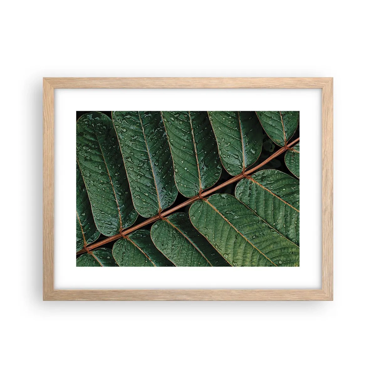 Affiche dans un chêne clair - Poster - Au rythme de la verdure - 40x30 cm