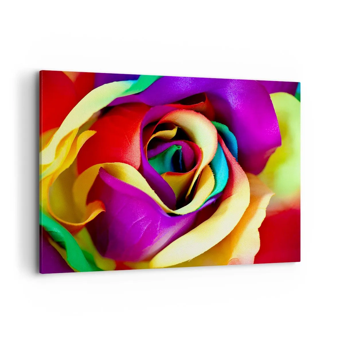 Impression sur toile - Image sur toile - Une rose colorée aux nuances de l'arc-en-ciel - 100x70cm - Ce n'est pas possible - Décoration murale moderne pour le salon et la chambre ARTTOR