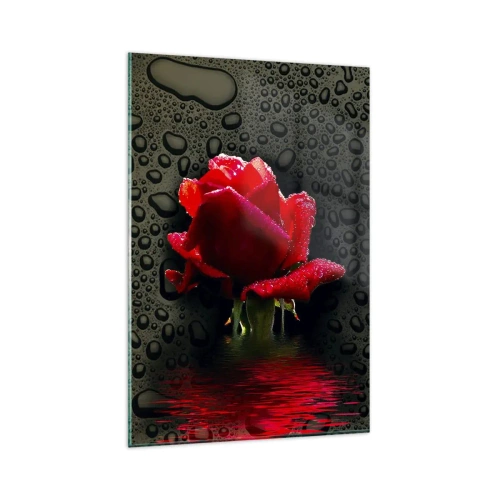 Impression sur verre - Image sur verre - Rose rouge avec des gouttes d'eau sur un fond sombre - 80x120cm - Rouge et noir - Décoration murale moderne pour le salon et la chambre ARTTOR