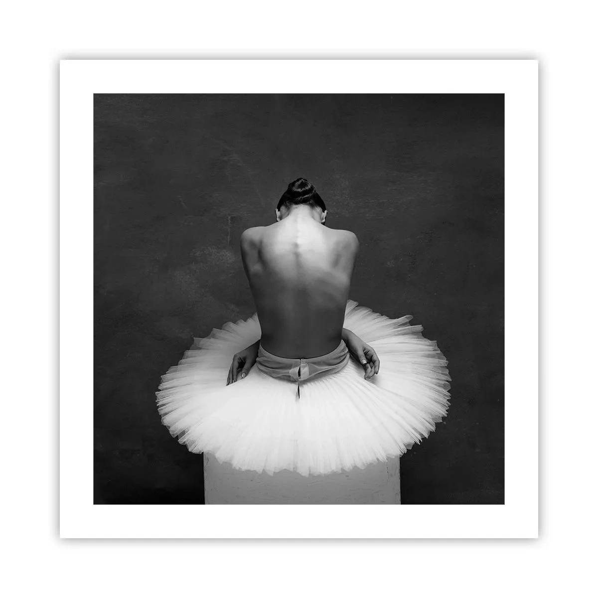 Affiche - Poster - C'est justement en train de fleurir - 50x50 cm