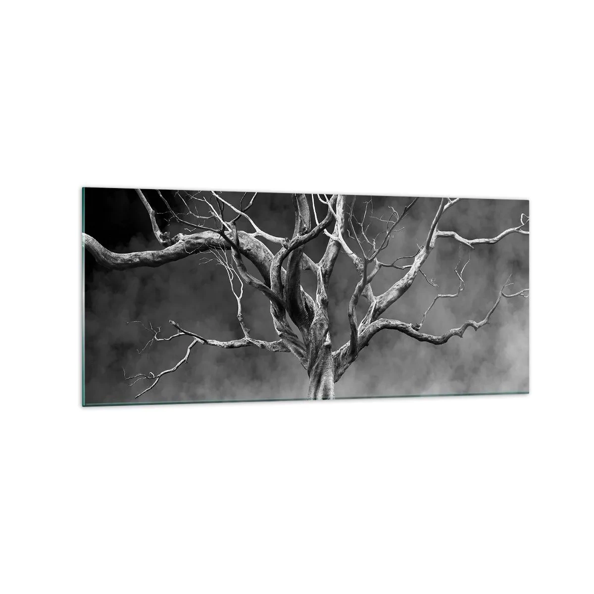 Impression sur verre - Image sur verre - Un arbre sec en noir et blanc contre le brouillard - 120x50cm - Primordial et sacré - Décoration murale moderne pour le salon et la chambre ARTTOR