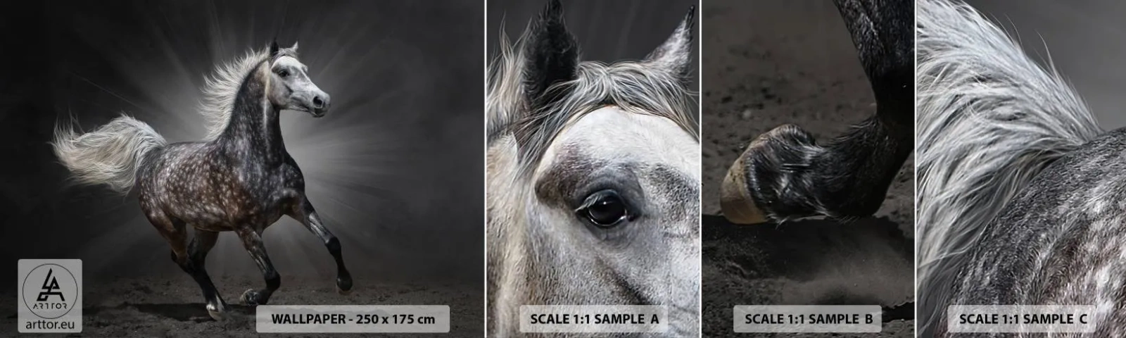 Échantillon de Papier Peint Autocollant Deluxe Sticker - Le gris est beau - Animaux, cheval arabe, Nature - 100x30 cm